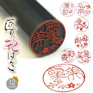  nR Ԃ͂ s I  IV aP[X 12mm 킢   a  lJ ԕ a v[g Mtg  蕨 j j aya߂ӃP[