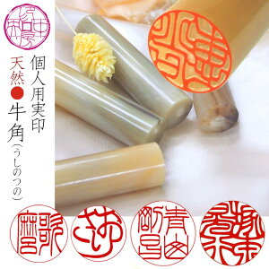   Ȉe  o^ p 13.5mm 15mm I_  nR VRp R̕A s v[g Mtg 蕨 q Ԃ oYj j̎q ̎q O 