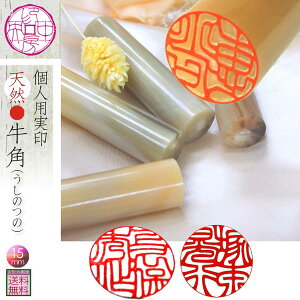   j  nR o^ p 15mm VRp I_  R̕A v[g Mtg 蕨 q Ԃ oYj q j̎q ̎q  tl[ 