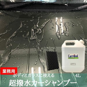ガラスコーティング剤 カーシャンプー 通販 価格比較 価格 Com