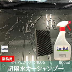 楽天市場 車ガラス レジンの通販