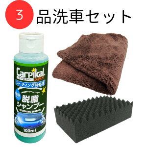 J[sJ  A  3_Zbg [Ɩp J[Vv[ J[sJ EVv[ 100ml }CNt@Co[  ^I NX ԃX|W]