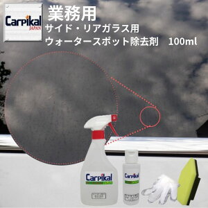 Ɩp J[sJ TChEAKXp EH[^[X|bg  [100ml~500ml]