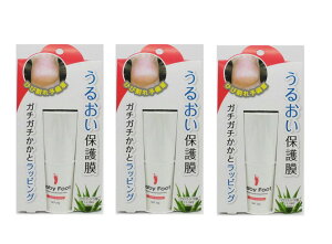 y3ZbgzƂ̃PA/ی얌xr[tbg q[K[h (22g)艿1320~×3