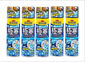 【330ml×5個セット】小林製薬　熱中症対策　服の上から極寒スプレー　無香料　新品