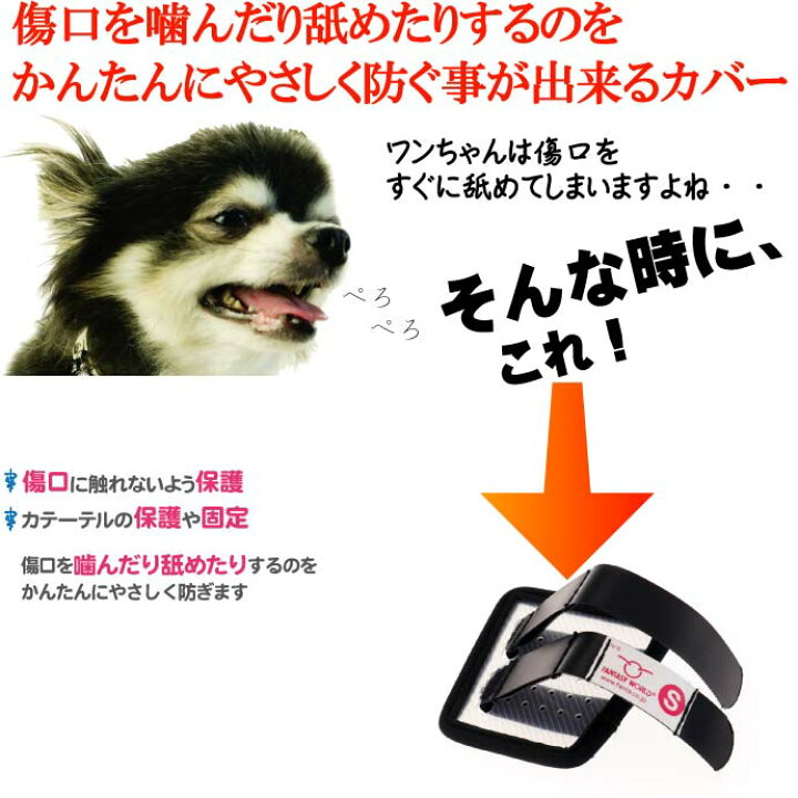 最高の品質の Iv カテーテルガード S ペットの傷口に触れないようにやさしくガード Pakhuis19 Nl