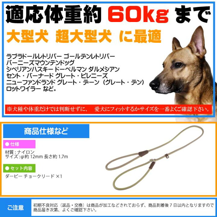 楽天市場 犬 首輪 リード 引っ張ると首がしまる 幅12mm長1 7m 緑 ペット用品 Ferplast Gc12 170 適応体重60kgまで 大型犬 超大型犬 Fa5165 Ase World