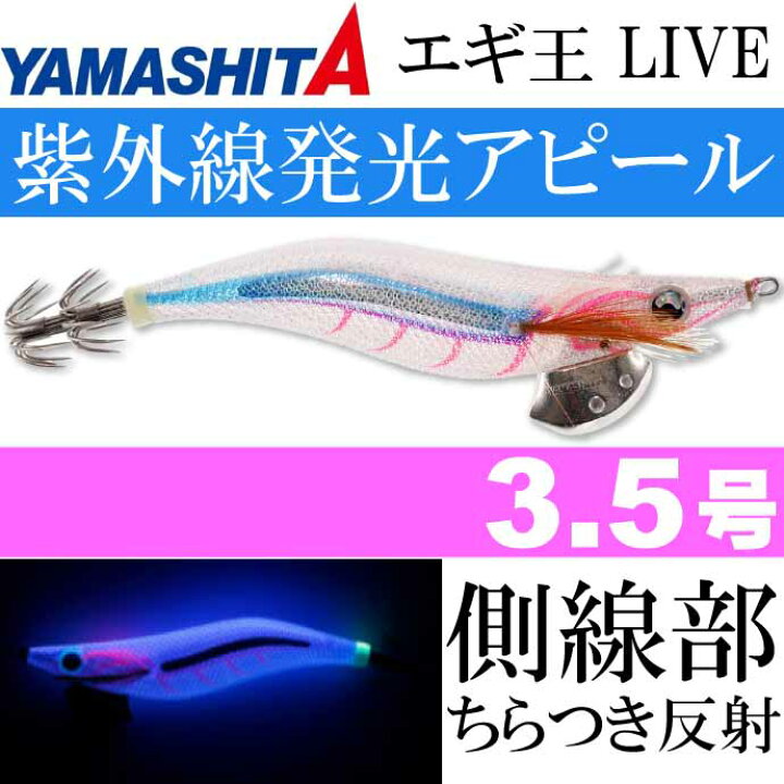 限定 エギ王 LIVRE×YAMASHITA ダイワ用 WING100 ブルー（楽天市場 