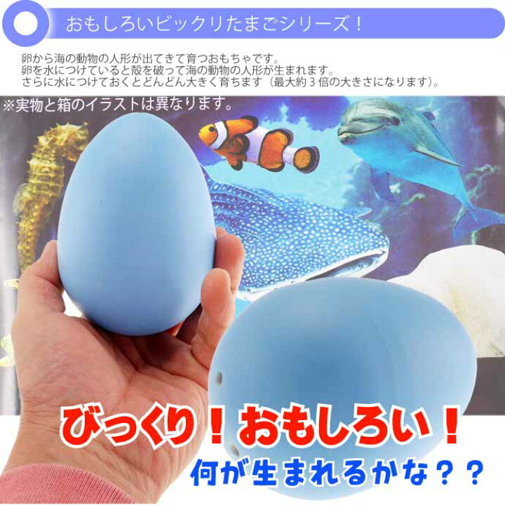 楽天市場 びっくりメガたまご 海のどうぶつ No 6 656 株式会社ファースト アロー おもちゃ 海のたまご 卵から生まれて大きくなる人形 Ms222 Ase World