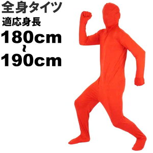 Sg^Cc  180cm`190cm nEB p[eB RXv 񎟉  CxgȂǂŐオAQAQ`X[c Rk056