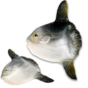 }{E }Olbg HiTv X  FX}Olbg ms005