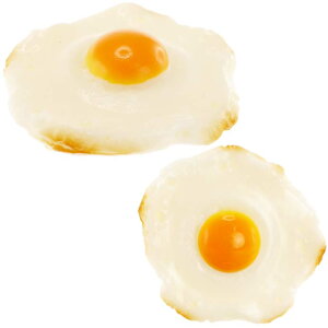 ڋʏĂ }Olbg HiTv X  FX}Olbg ms010