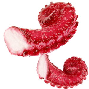 タコ おもしろマグネット 食品サンプル風 店舗 事務所 色々似合う文具マグネット ms004