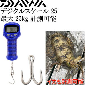 fW^XP[ 25 ővdʖ25kg Pldr DAIWA _C Jrit  CJ̌v\ Ks178