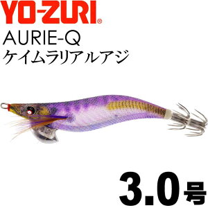 GM AI[Q PCAAW 3.0 d14.5g YO-ZURI [d ނ AICJ GMO GM Ks1222