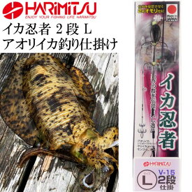 楽天市場 イカ 針 仕掛け フィッシング スポーツ アウトドアの通販