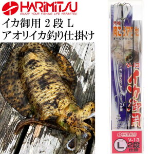 ヤリイカ 釣り仕掛けの人気商品 通販 価格比較 価格 Com