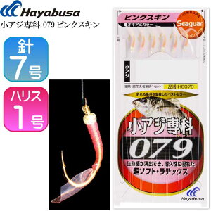 AW 079sNXL HS079 TrLނd| b7 nX1 3 Hayabusa nuT HS079 ނ Ks1721