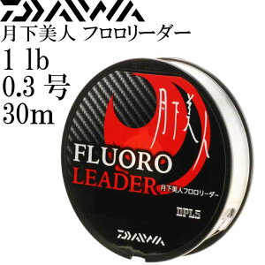 アジング ラインの人気商品 通販 価格比較 価格 Com アジング ラインの人気商品 通販 価格比較 価格 Com