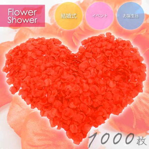 t[V[ ỏԂт  1000 [Yy^ KN t[y^  EGfBO 2 \