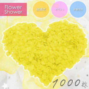 t[V[ ỏԂт  1000 [Yy^ KN CG[ t[y^  EGfBO 2 Rk202