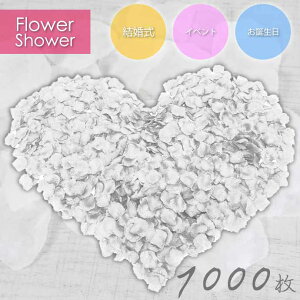 t[V[ ỏԂт  1000 [Yy^ KN zCg t[y^  EGfBO 2 Rk203