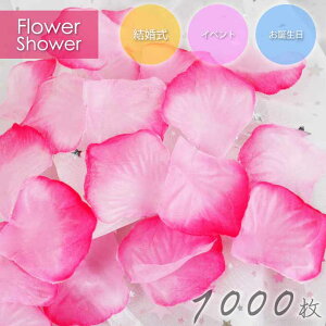 t[V[ ỏԂт  1000 [Yy^ KN sNOf t[y^  EGfBO 2 Rk204