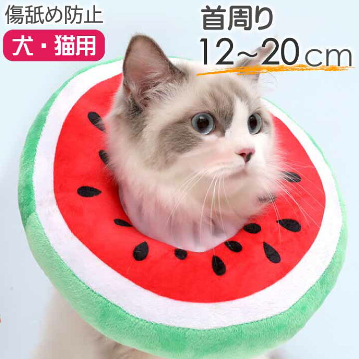 楽天市場】犬 猫 エリザベスカラー スイカS 首周り12〜20cm ソフト犬 