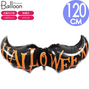 o[ D HALLOWEEN RE 120cm nEB nEC nEBp[eB t A~o[ Rk563