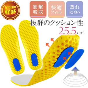 C\[ ~ Ռz bV O[25.5cm 1 Ci[\[ NbV X|[c jO ̕Sy Rk275