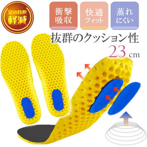 C\[ ~ Ռz bV ubN 23cm 1 Ci[\[ NbV X|[c jO ̕Sy Rk337