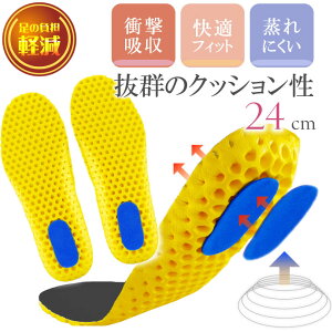 C\[ ~ Ռz bV ubN 24cm 1 Ci[\[ NbV X|[c jO ̕Sy Rk341