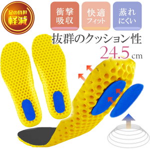 C\[ ~ Ռz bV ubN 24.5cm 1 Ci[\[ NbV X|[c jO ̕Sy Rk792