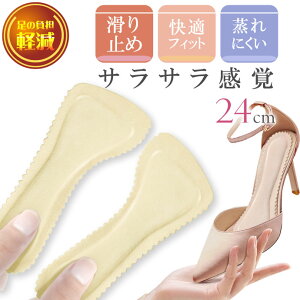 C\[ ~ nCq[~ pbh ɂ x[W 24cm 1 Ci[\[ pvX Ռz ̕Sy Rk800