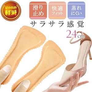 C\[ ~ nCq[~ pbh ɂ uE 24cm 1 Ci[\[ pvX Ռz ̕Sy Rk806