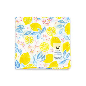 y{{ijiō2860~ȏőLy[zy{{za炵 ͂񂩂 to͂񂩂 u[Lemon^@c[Zbgy{ Made in Japanz }XN \h ΍