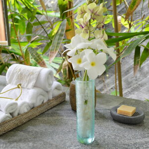 KX̉ԕriMjtrailiXm[Xg[tj y Ԋ t[x[X ֑} o G AWA G CeA _ ][g ze o 썑 AWAeCXg  z