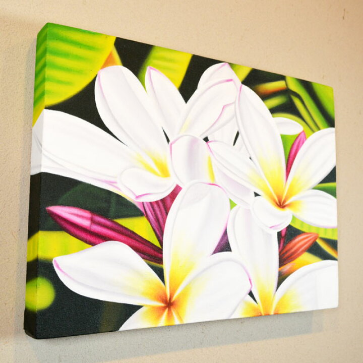 楽天市場】絵画 プルメリア 40×30cm B 【 アートパネル 花 アジアン 