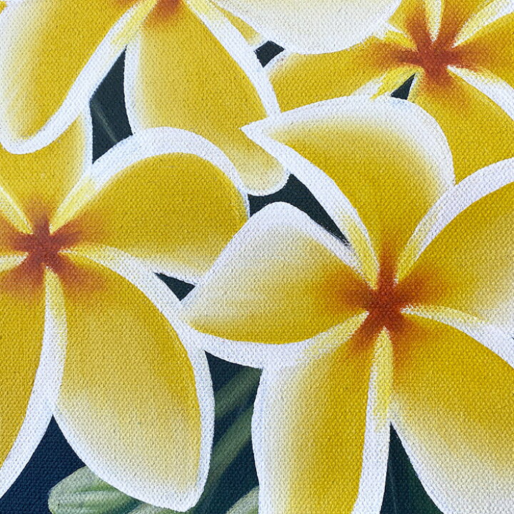 楽天市場】【50％OFFクーポン｜商品入替・在庫限り】 プルメリアの絵画 