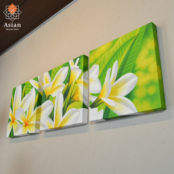 楽天市場】白いプルメリアの絵（フランジパニ） 40×40cm 3枚 1 【 花 