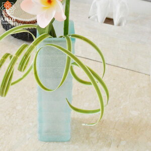 KXVASE lp M y ԕr t[x[X Ԋ  k AWA o G AWAG CeA _ ][g ze o 썑 AWAeCXg u  z