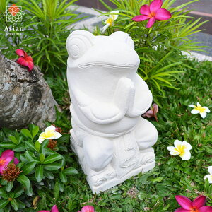 JG ΑiF ߑ30cmBj y u    ObY JG̒u Β 傫 O  킢 CeA IuWF ^ AWA o G z