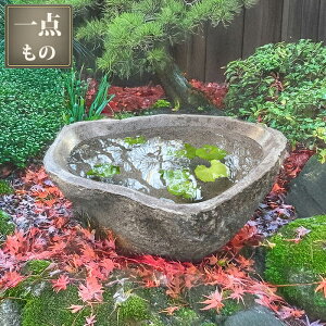 ���� �� �a���_���i48.5×40.5×15cm 24.5kg�j�iNo.5�j �y ���@�� ���� ���΂� �萅�� �ؒ� �a�� �� ������� �뉀 �K�[�f�j���O �� ���R�� �V�R�� ���O �A�W�A�� �o�� �a���_�� �L �z