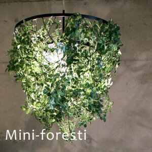 yԌP5{z y_gCg Foresti tHXeB DICLASSE fBNbZ | Ɩ Ɩ VƖ ݂艺 Cg v 1  A  CeAO[ i` _CjO 