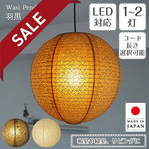 y10%OFFZ[z y_gCg H ͂ TP-1611 1 2 a40cm Cg    эH| | Ɩ Ɩ VƖ ݂艺 y_g Cg v { a vVF[h  1