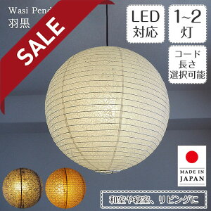 y10%OFFZ[z y_gCg TP-1611 a40cm Cg  эH| | Ɩ Ɩ VƖ ݂艺 Cg v 2 ^ vXCb` { a vVF[h  200W E26 a Q