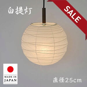 y10%OFFZ[z y_gCg PN-25 a25cm ʌfUC | Ɩ Ɩ VƖ y_g Cg v ݂艺 { a vVF[h Za  60W E26 a Q  