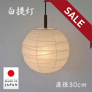 y10%OFFZ[z y_gCg PN-30 a30cm ʌfUC | Ɩ Ɩ VƖ y_g Cg v ݂艺 { a vVF[h Za  60W E26 a Q  