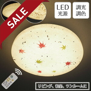 y10%OFFZ[z aV[OCg ʉ  | Ɩ Ɩ VƖ t Cg v LED 6 8 12 a Za gt _ tJ R  F _CjO r