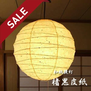 y10%OFFZ[z y_gCg TP-24KK a60cm 玆 эH| | Ɩ Ɩ VƖ ݂艺 y_g Cg 2 ^ vXCb` { a vVF[h  200W E26 a 